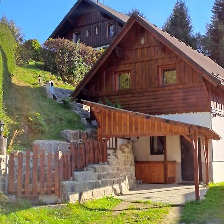 Apartmán Albrecht Albrechtice v Jizerskych horach Exterior foto