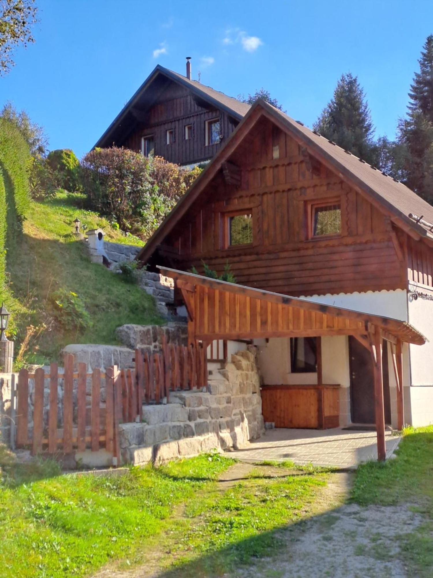 Apartmán Albrecht Albrechtice v Jizerskych horach Exterior foto